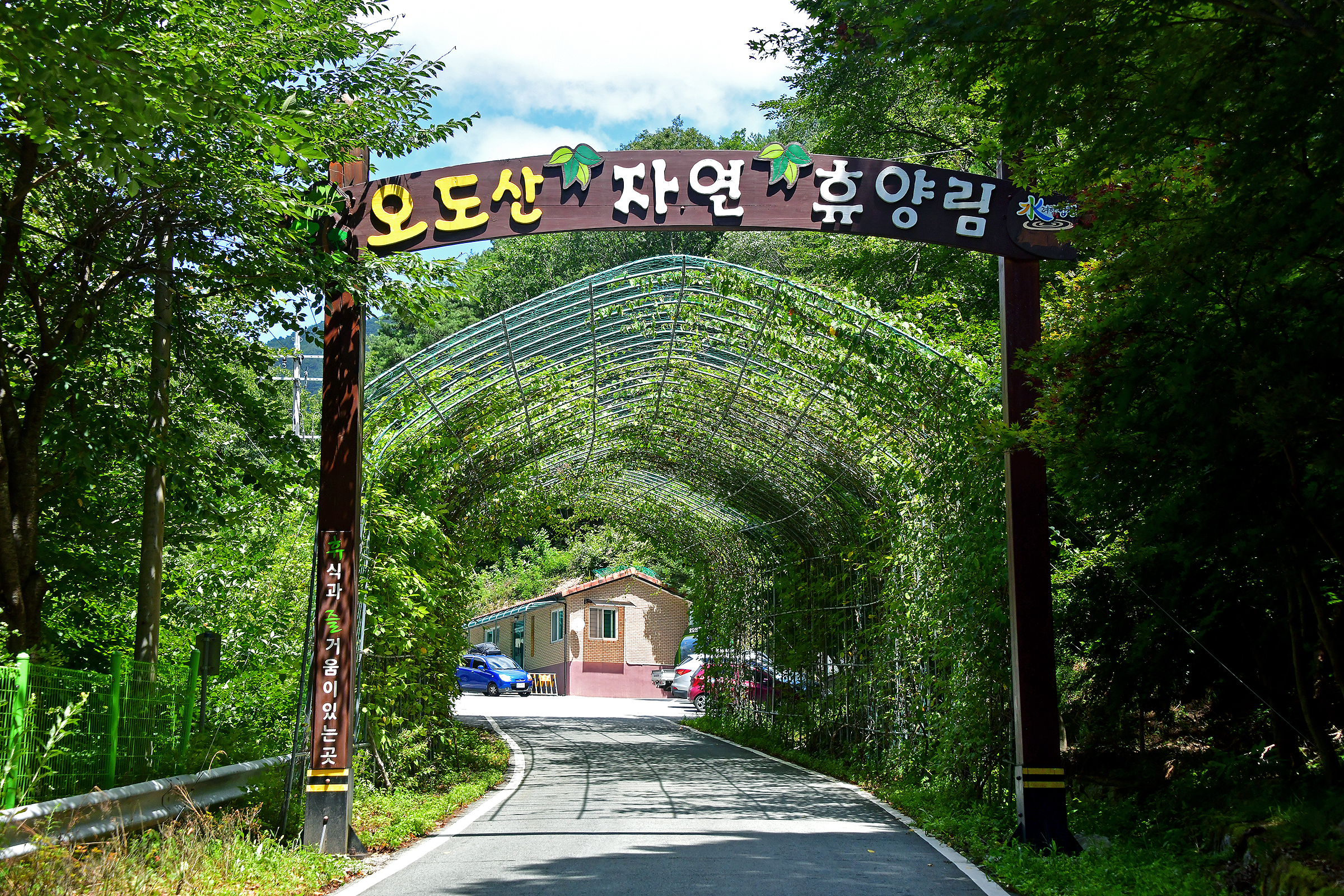 오도산 자연휴양림