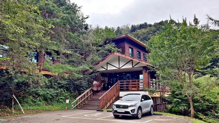 맑은숲캠프 메인 이미지