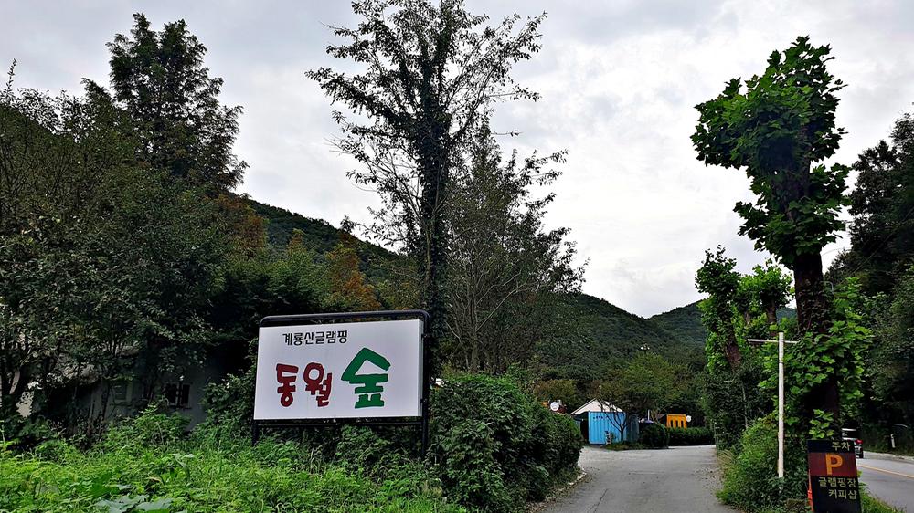 계룡산글램핑 동월숲
