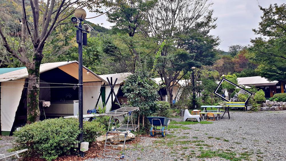 계룡산글램핑 동월숲