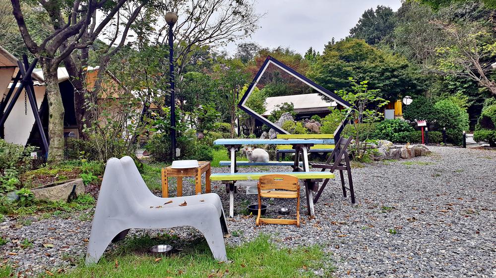 계룡산글램핑 동월숲