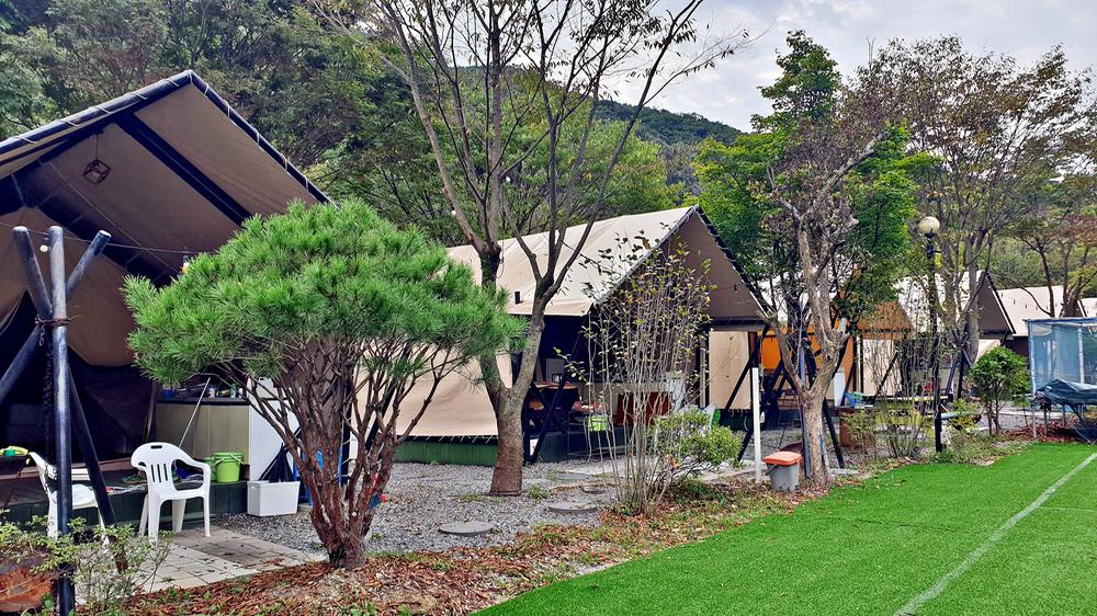 계룡산글램핑 동월숲