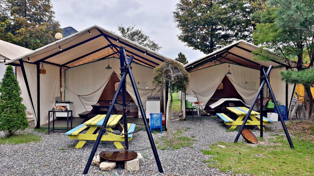 계룡산글램핑 동월숲