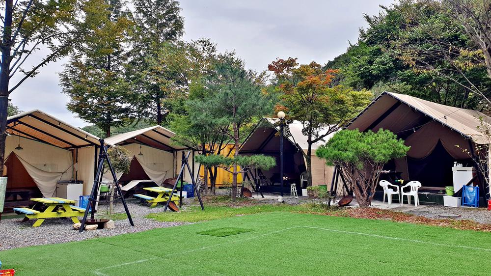 계룡산글램핑 동월숲