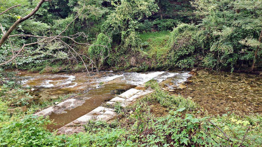 계룡산글램핑 동월숲