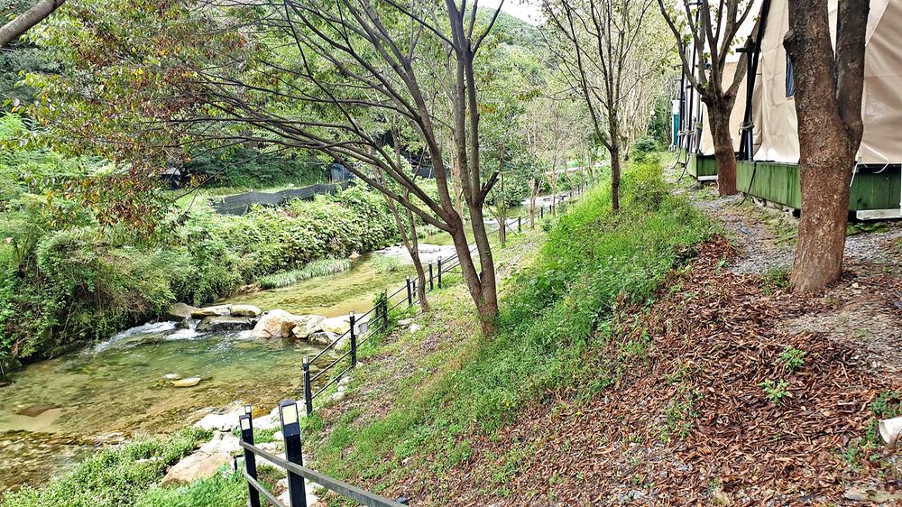 계룡산글램핑 동월숲