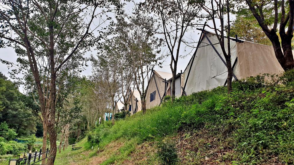 계룡산글램핑 동월숲