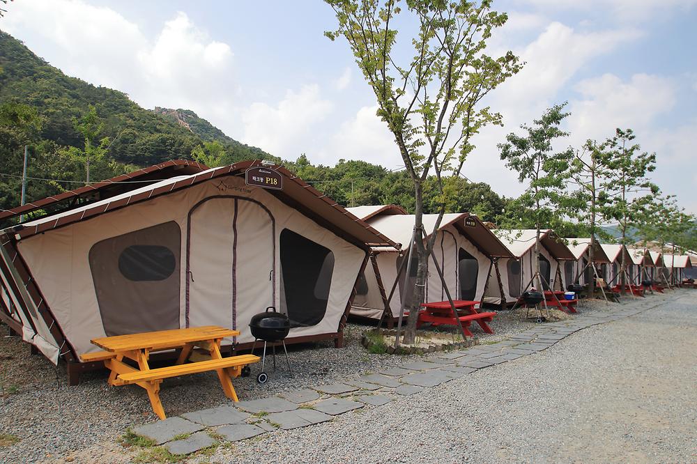 계룡산글램핑 파크오브드림