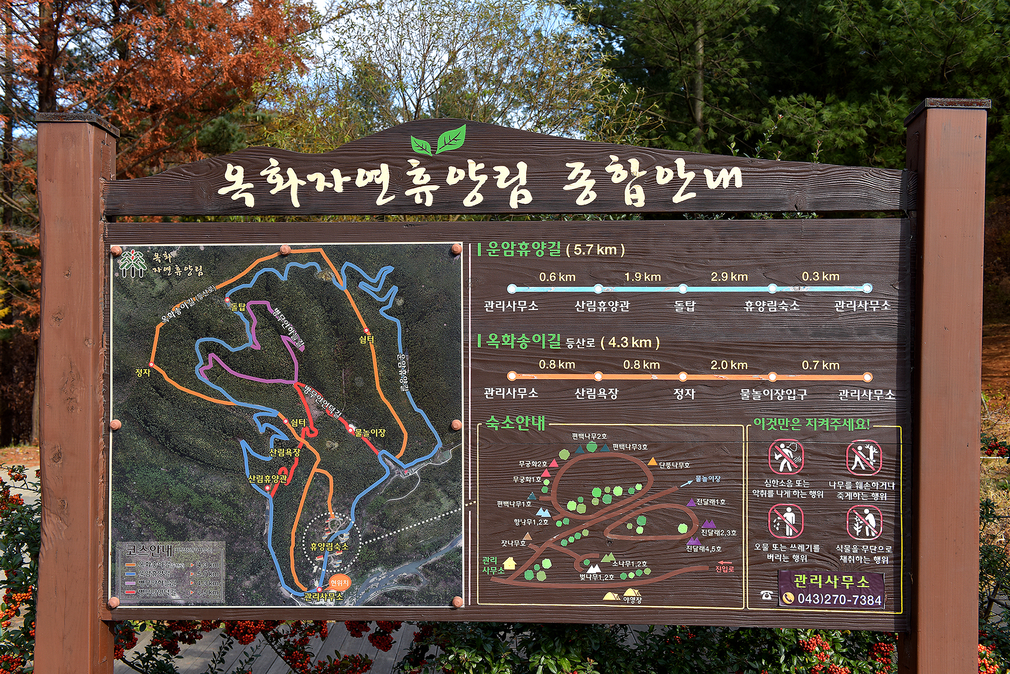 옥화자연휴양림 국민여가오토캠핑장