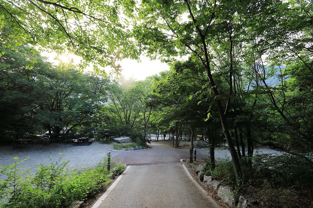 계룡산동학사자동차야영장