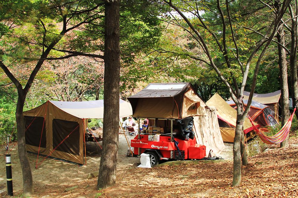 계룡산동학사자동차야영장