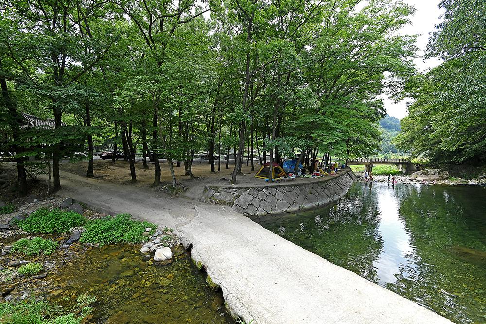 계림정야영장