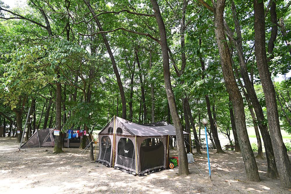 계림정야영장
