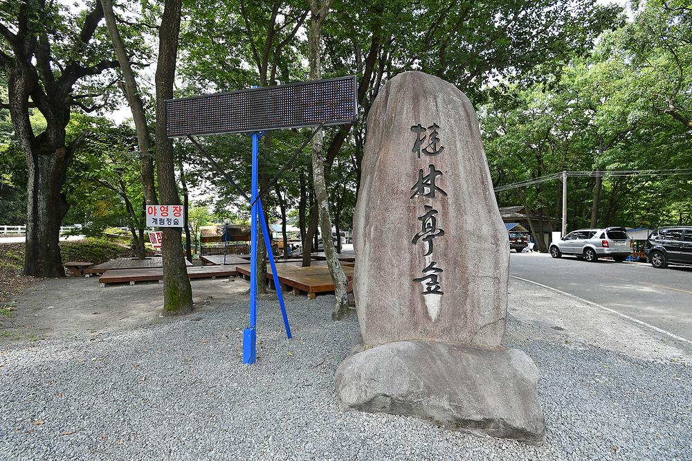 계림정야영장