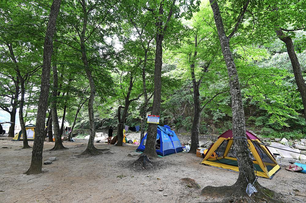 계림정야영장