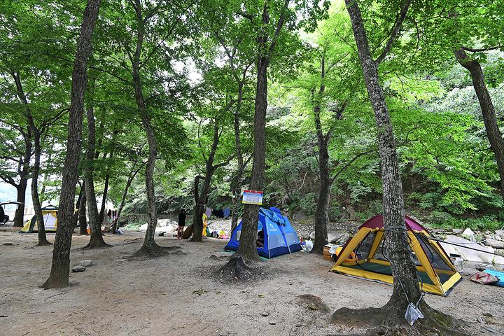 계림정야영장 메인 이미지