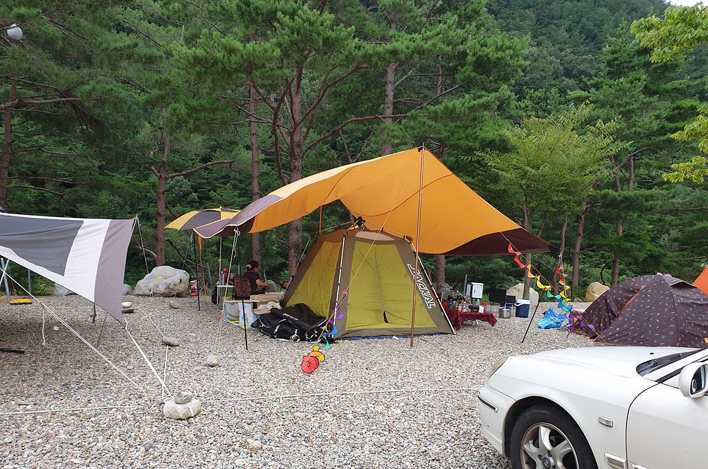 왕피천하늘담야영장