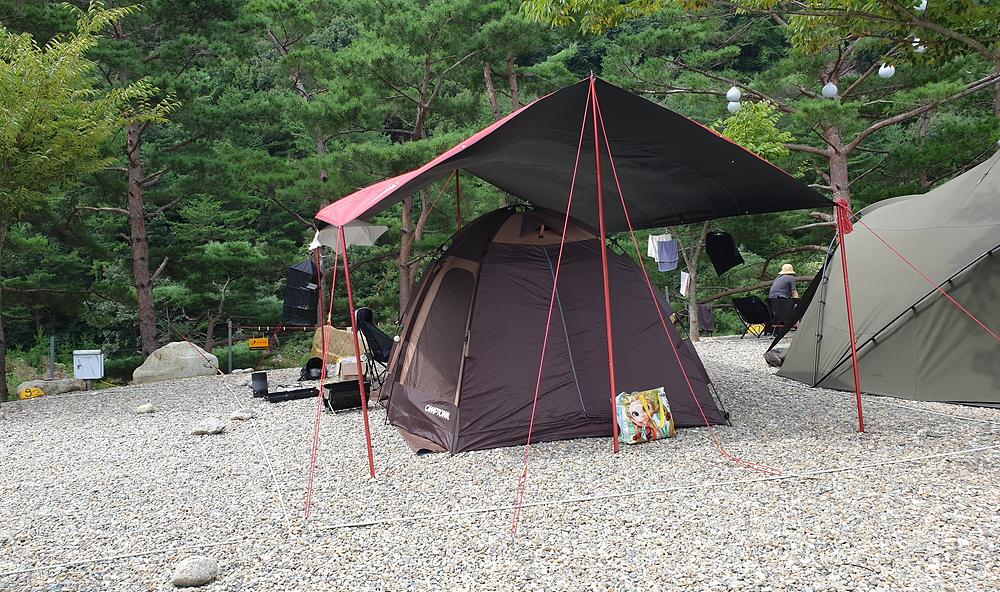 왕피천하늘담야영장