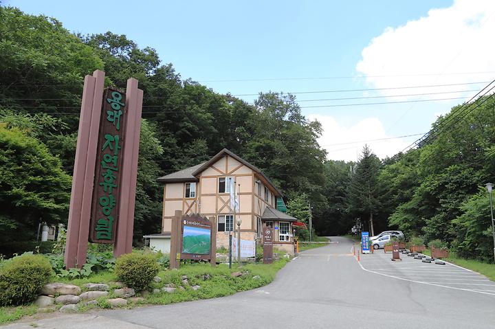 국립용대자연휴양림 메인 이미지