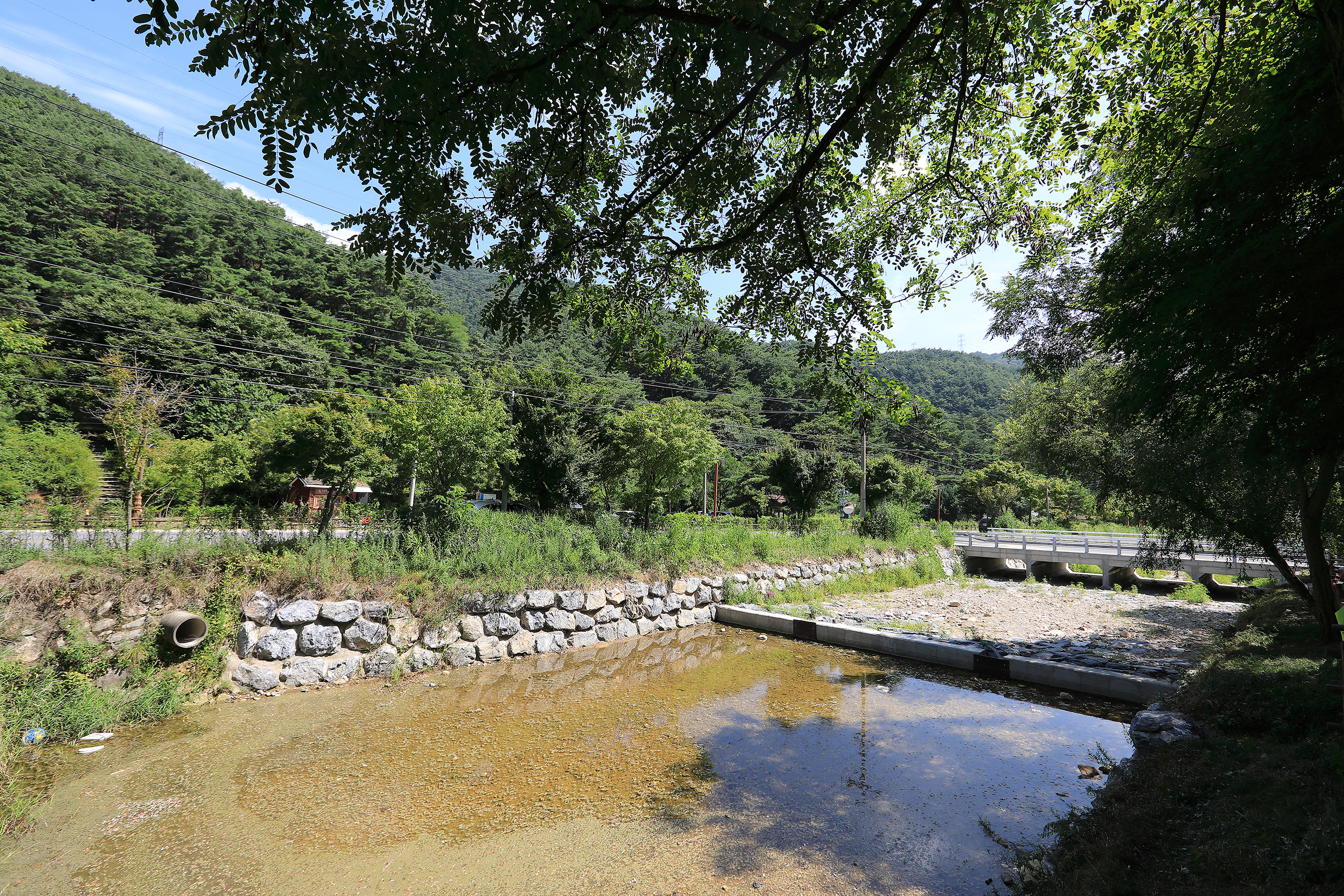 용두산오토캠핑장