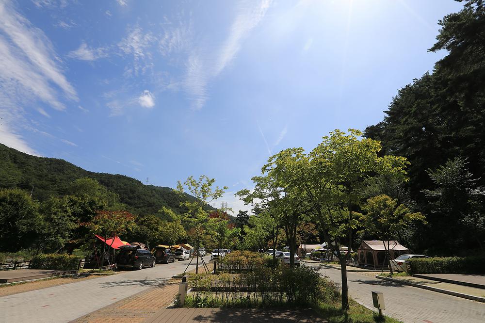 용두산오토캠핑장