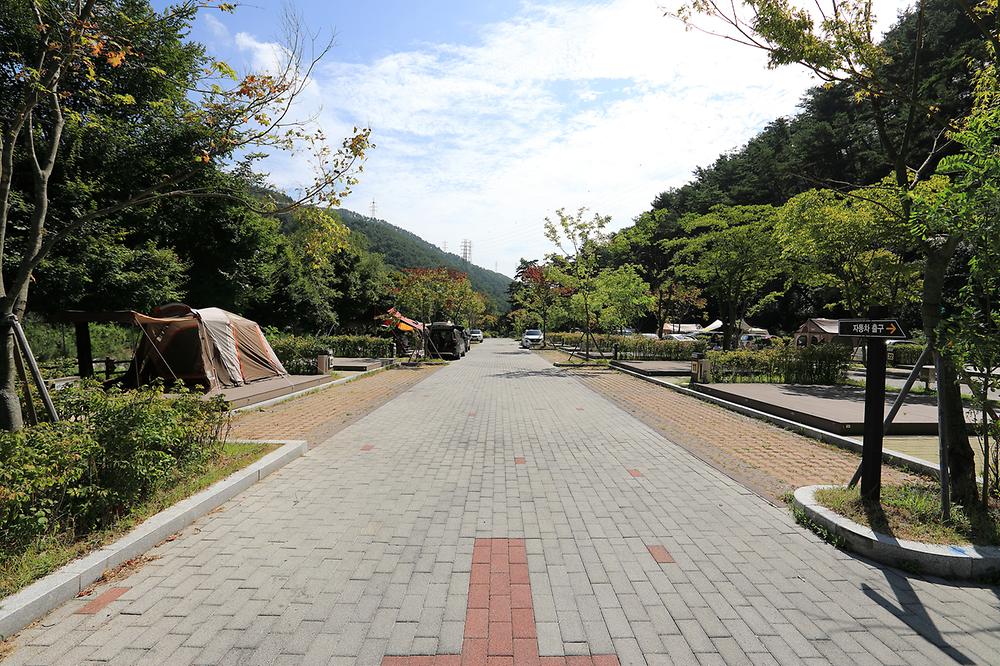 용두산오토캠핑장