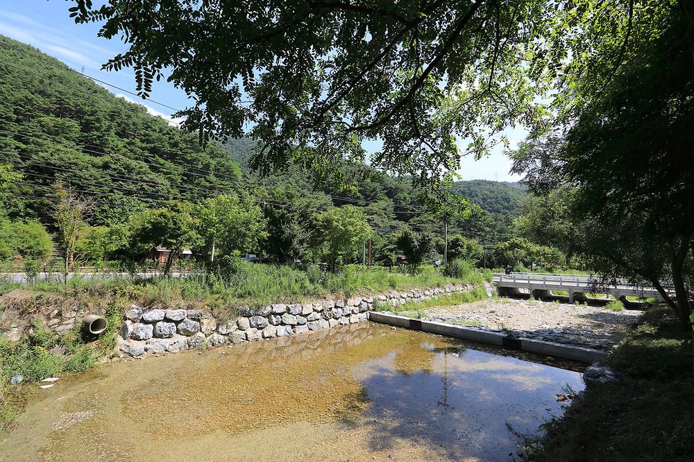 용두산오토캠핑장