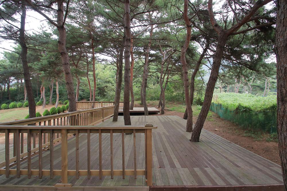 용봉산캠핑장