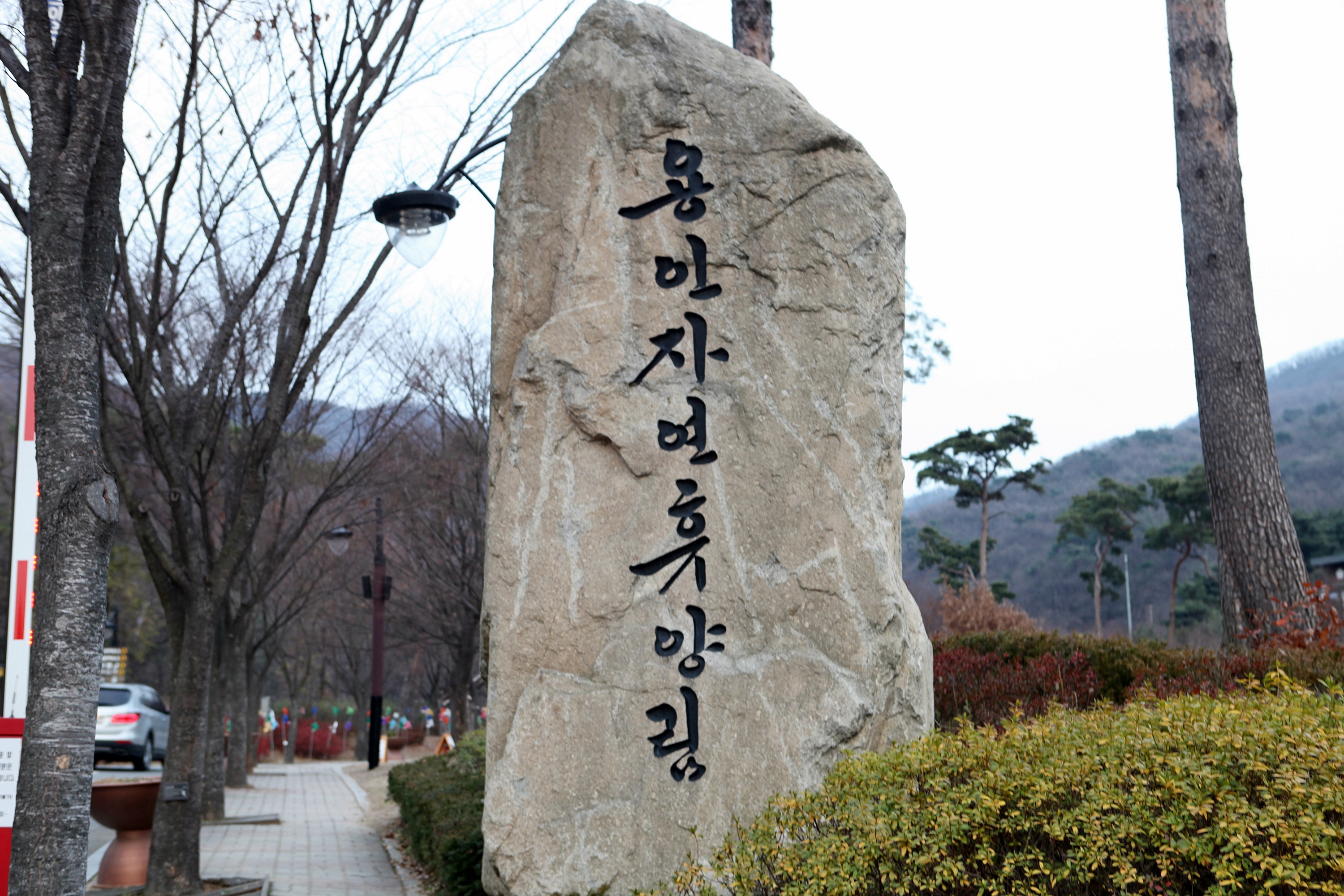 용인자연휴양림