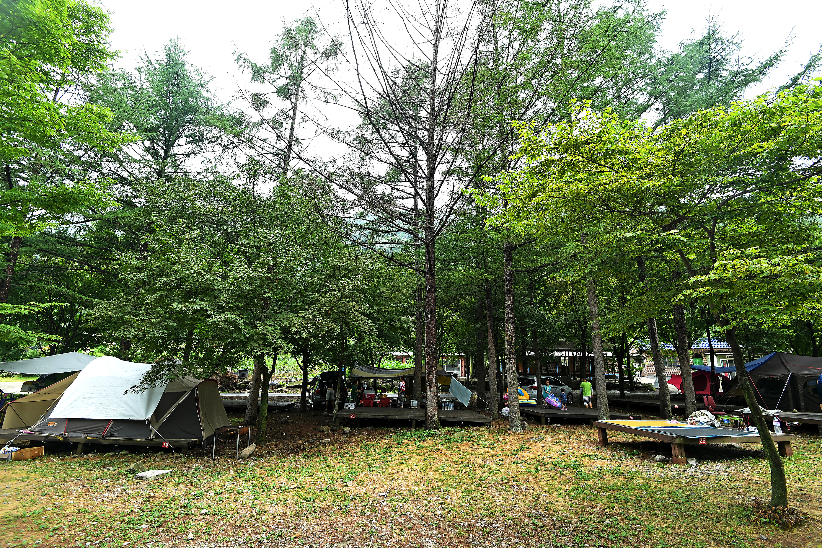 용추자연휴양림야영장