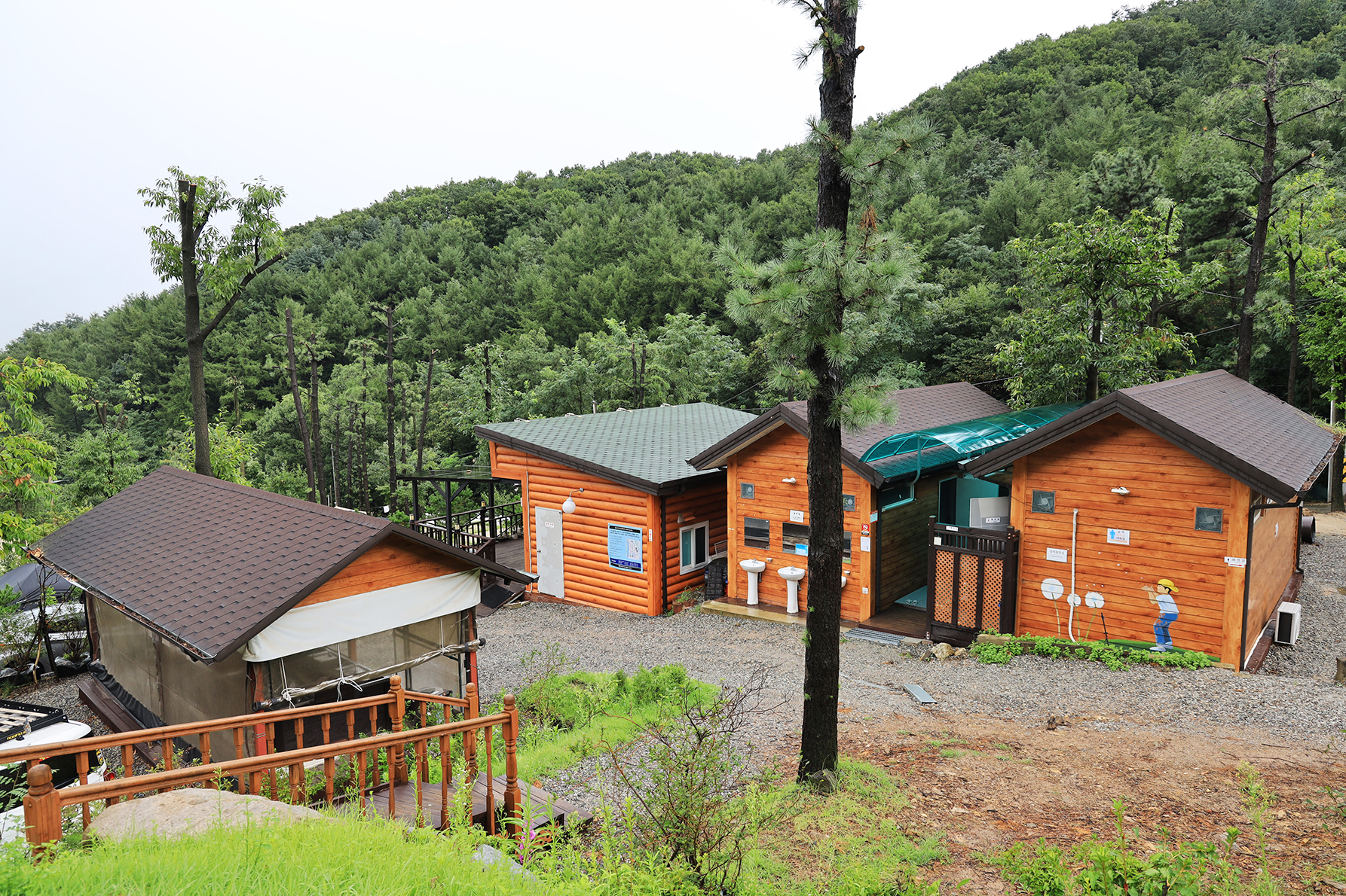 용인 자연숲