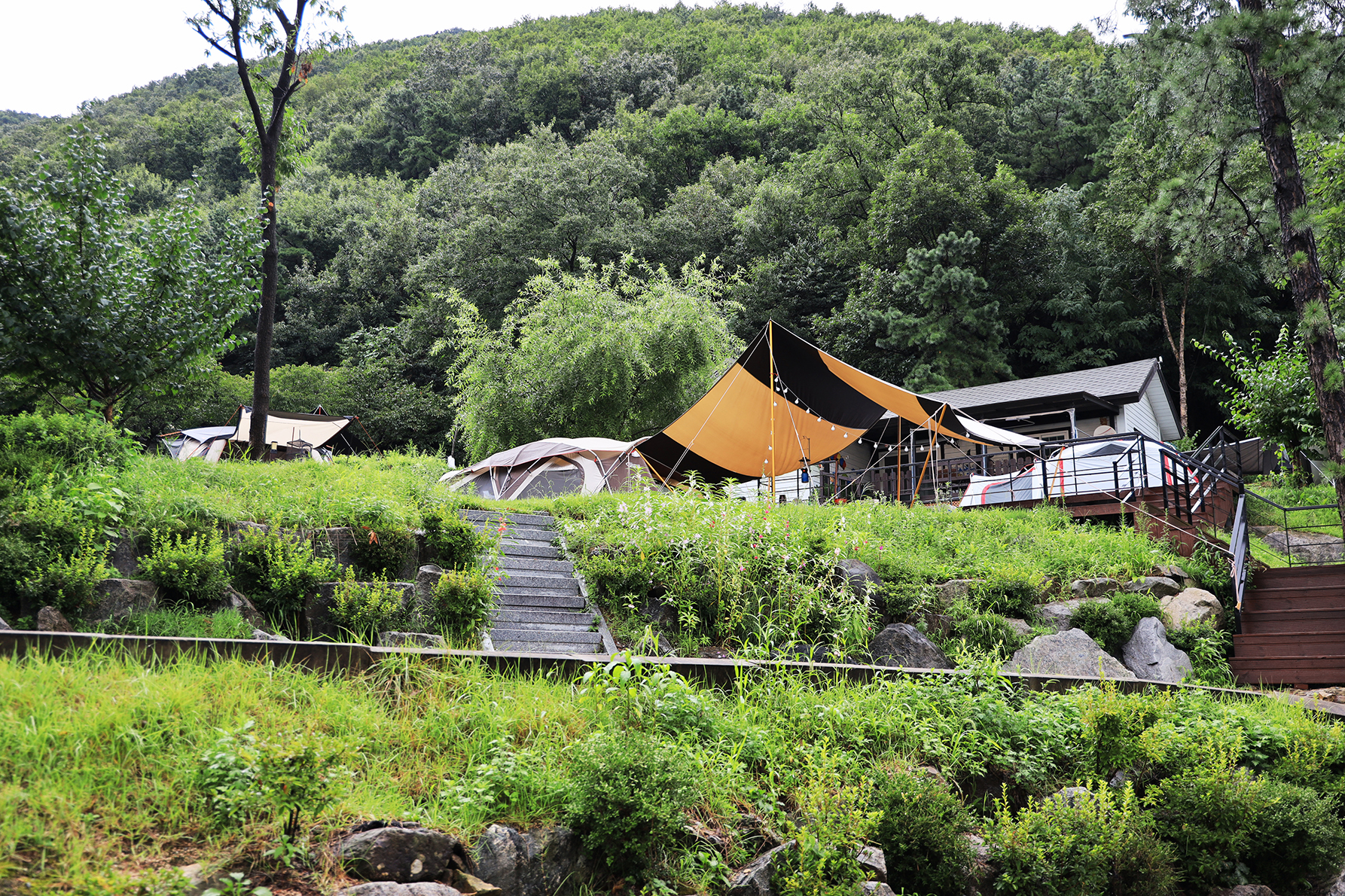 용인 자연숲