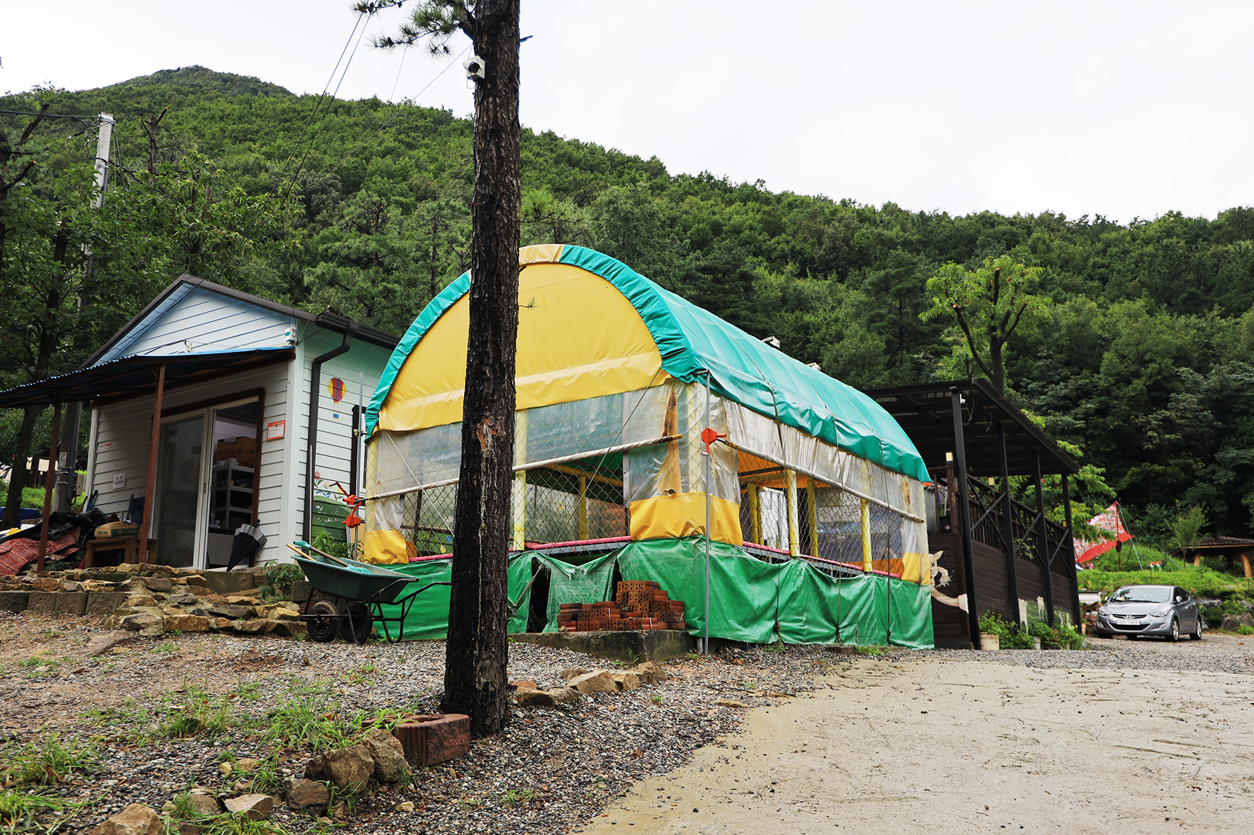 용인 자연숲