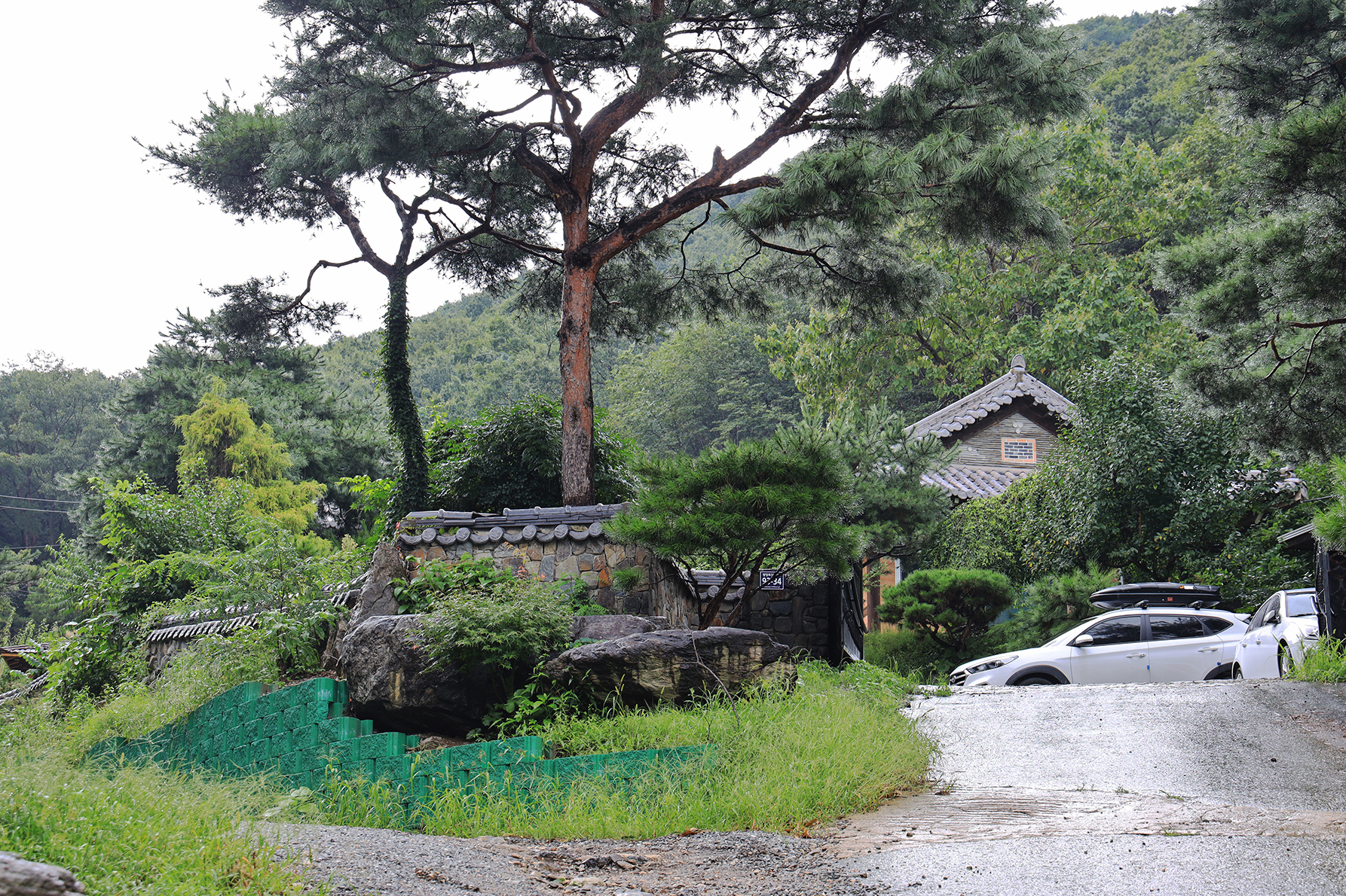 용인 자연숲