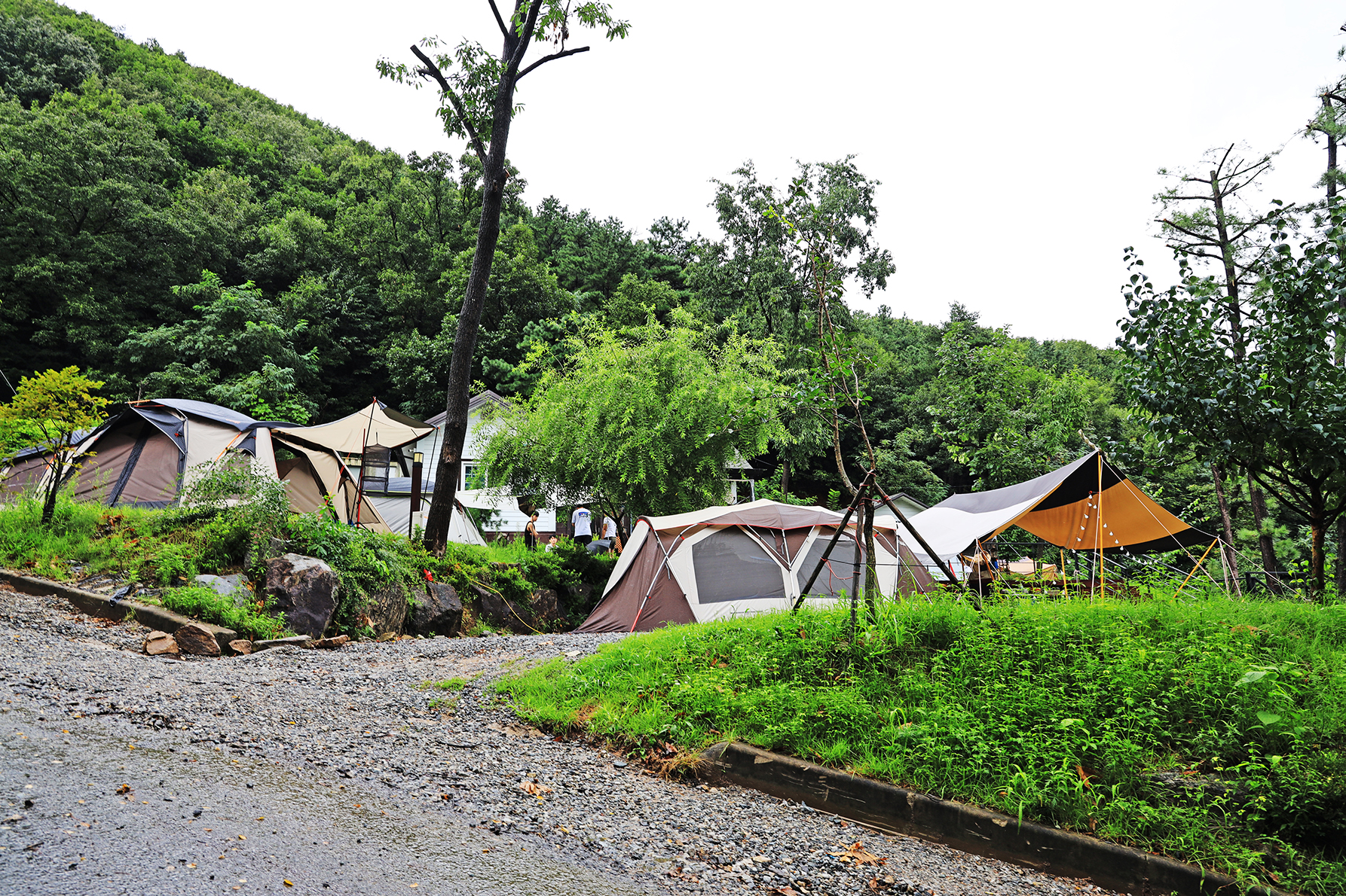 용인 자연숲