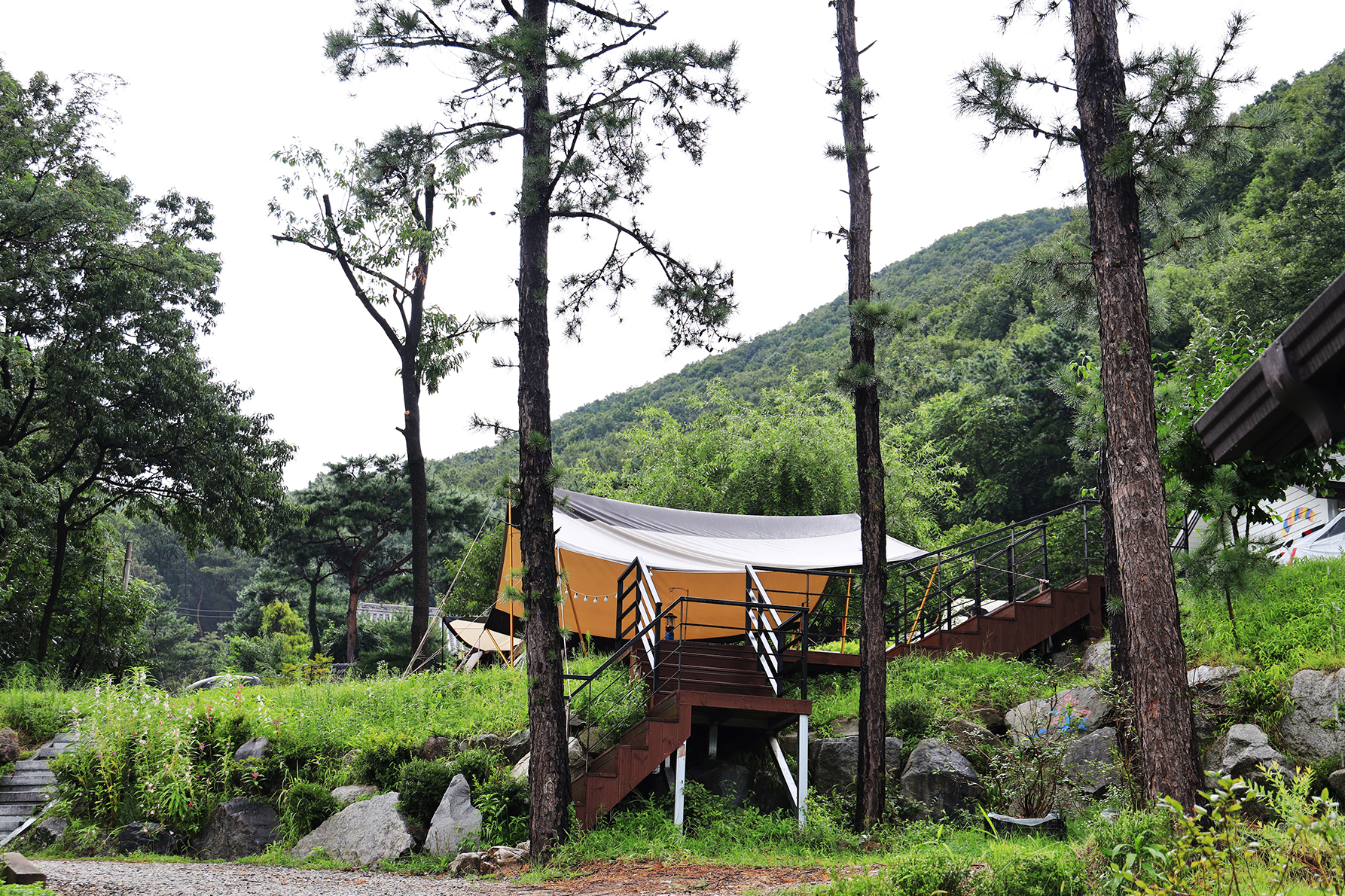 용인 자연숲