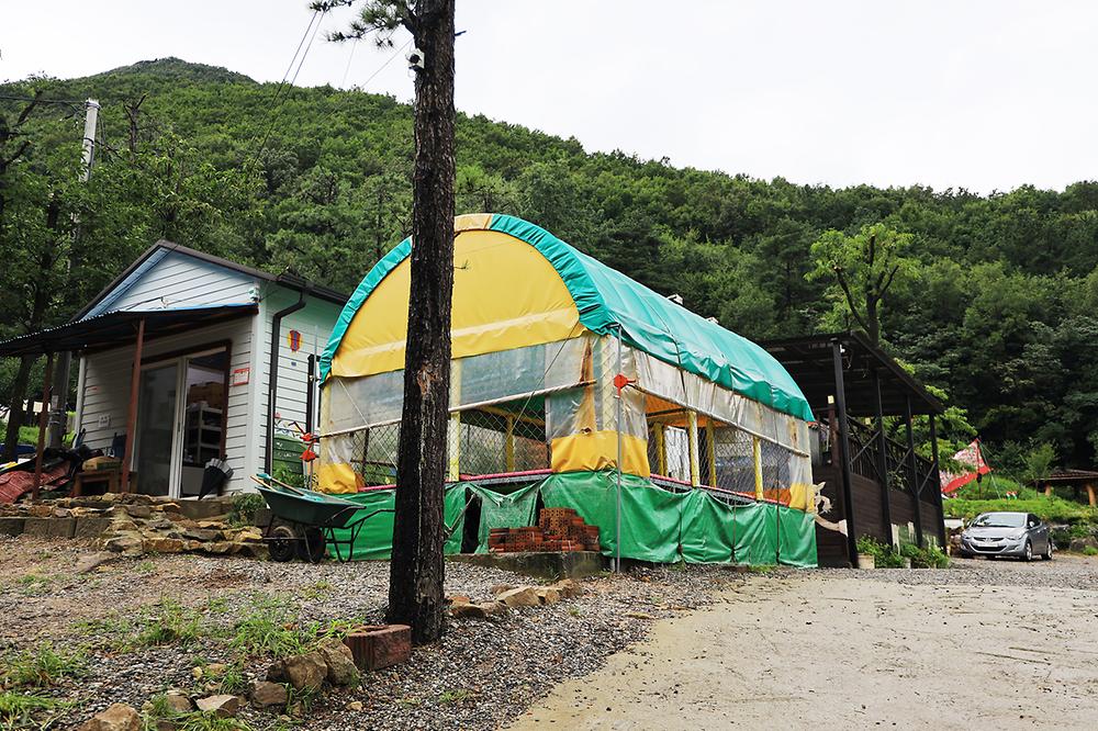 용인 자연숲 캠핑장
