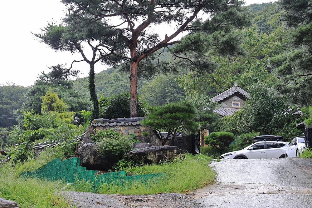 용인 자연숲 캠핑장