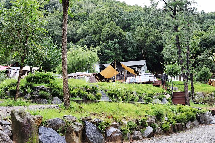 용인 자연숲 캠핑장 메인 이미지