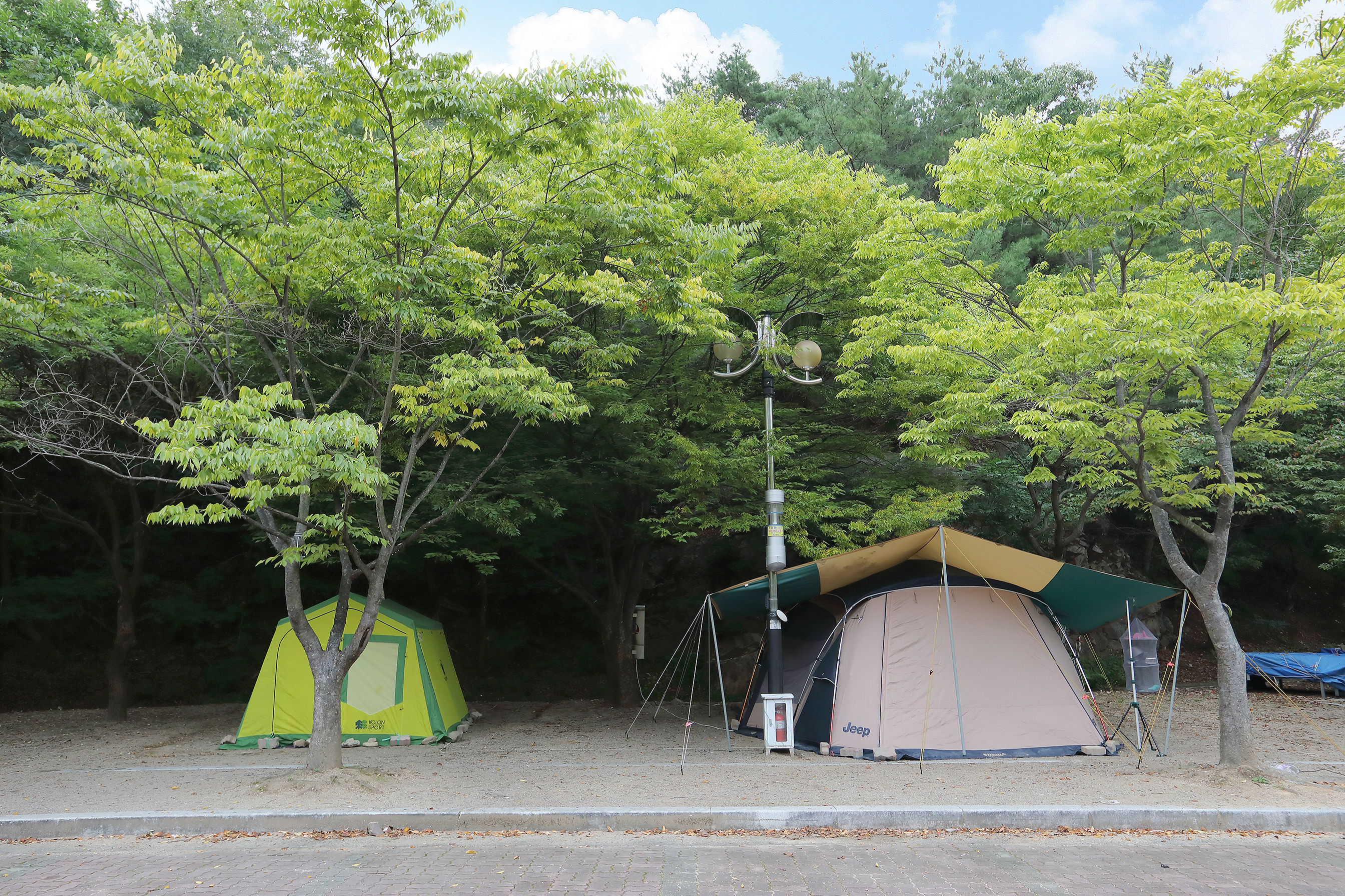 운문산 군립공원(집단시설지구) 야영장