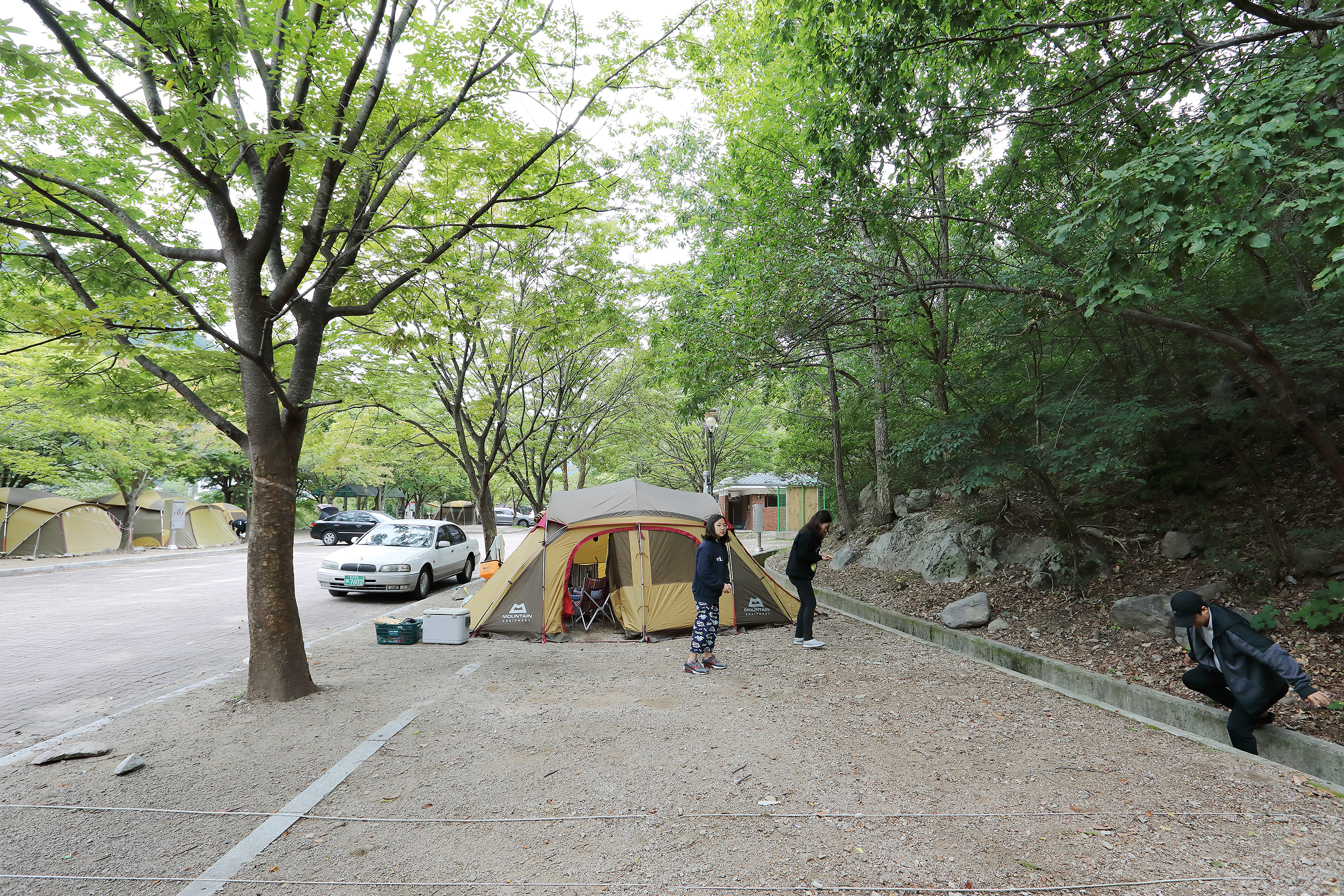 운문산 군립공원(집단시설지구) 야영장