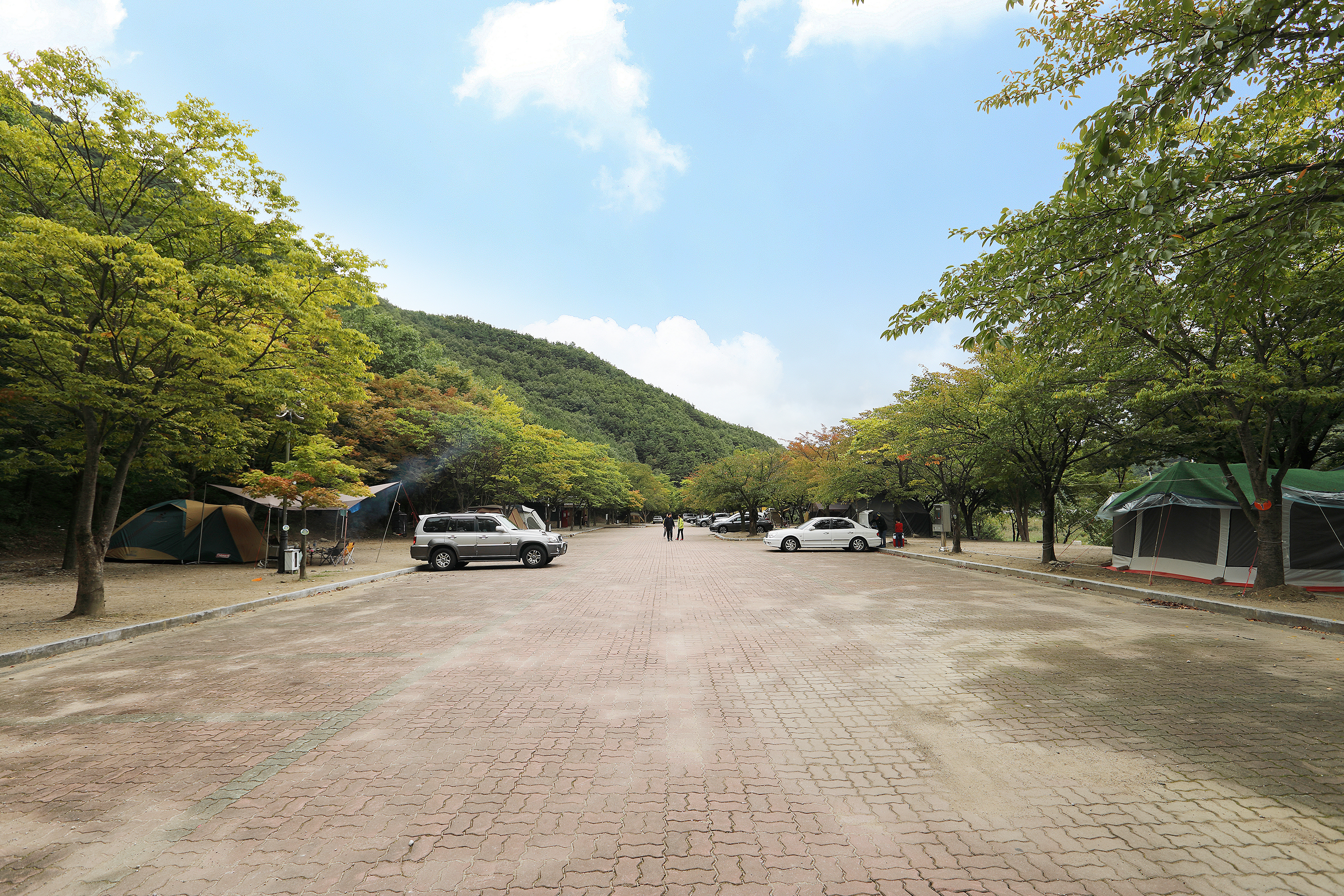운문산 군립공원(집단시설지구) 야영장