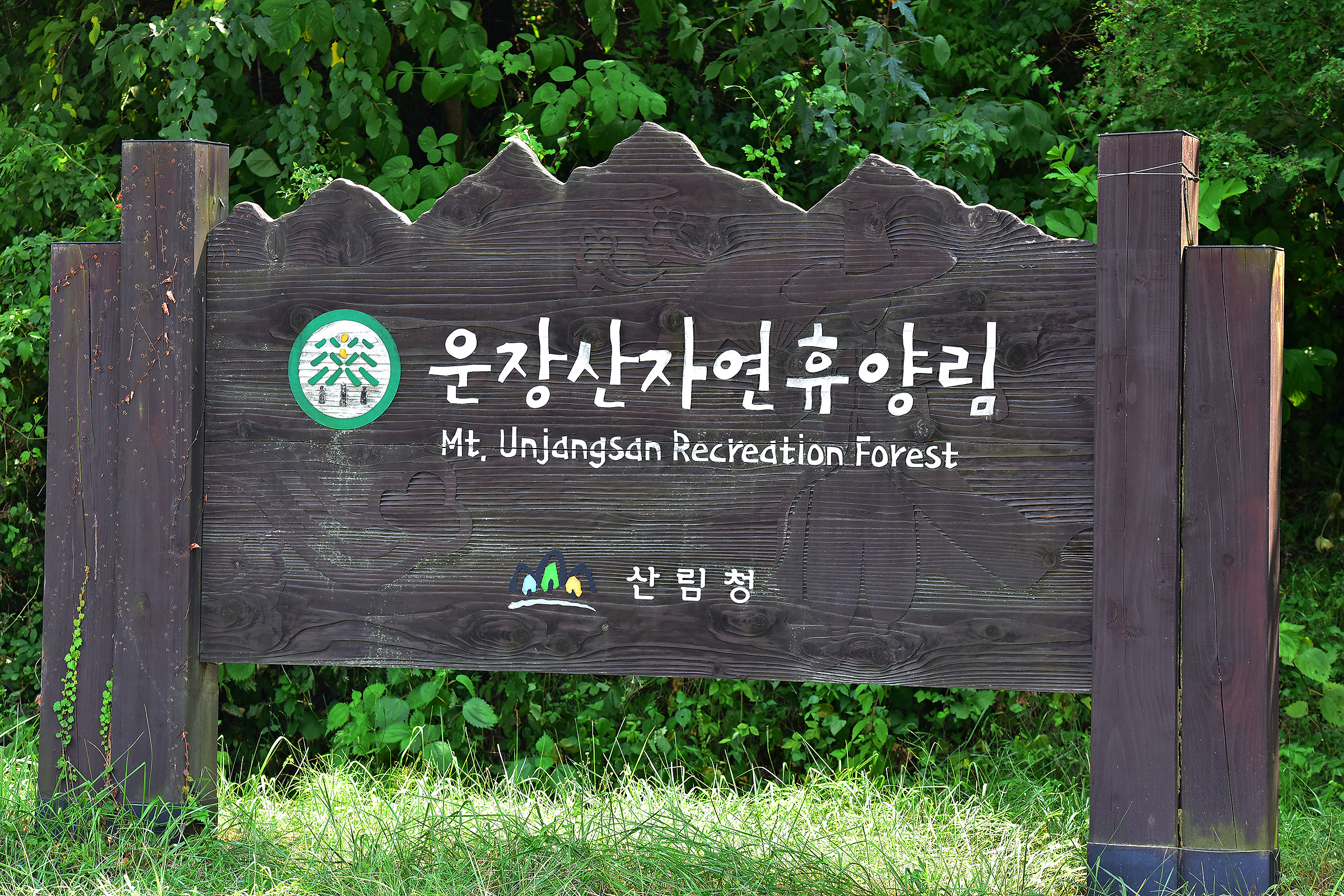국립운장산자연휴양림 야영장