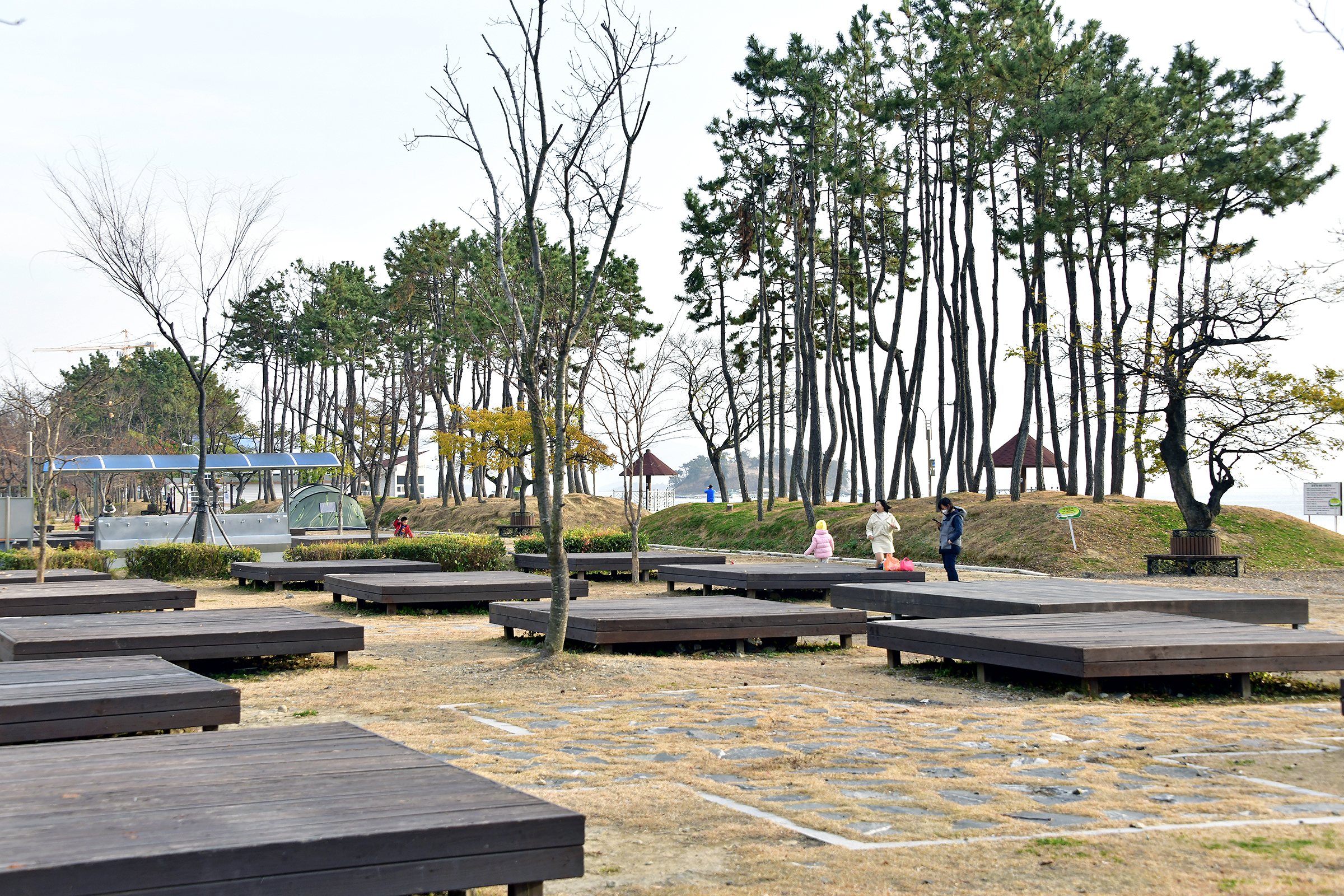 웅천친수공원 야영장