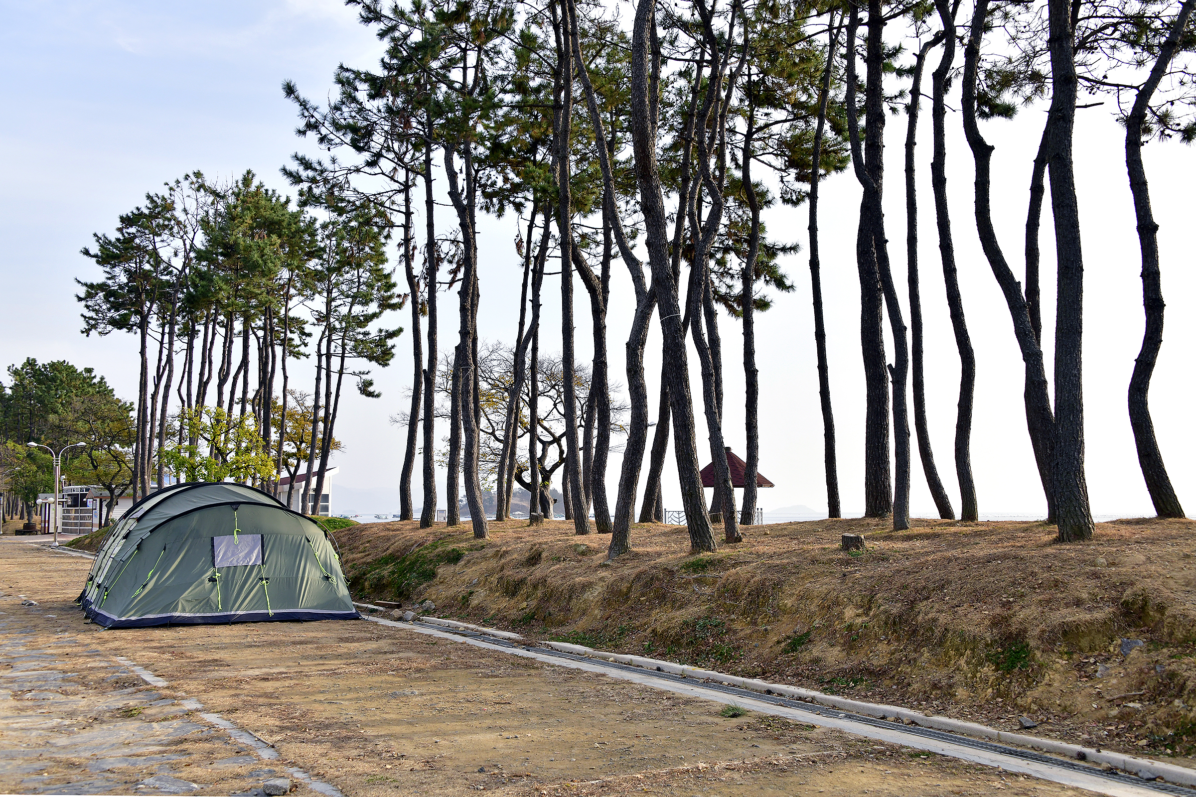 웅천친수공원 야영장