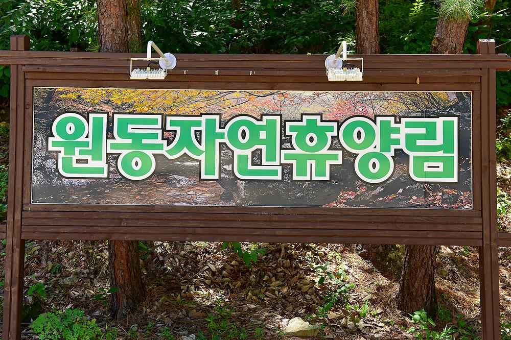 원동자연휴양림