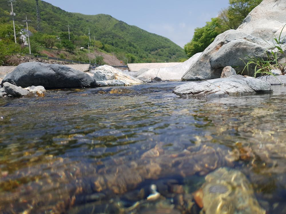 아트앤오토캠핑장