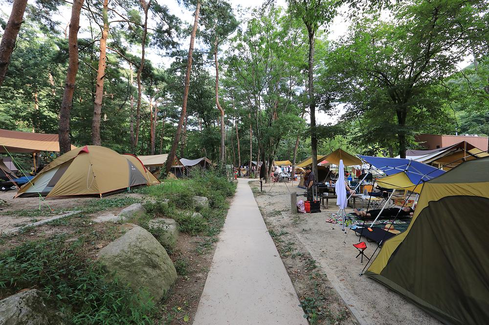 월악산국립공원 닷돈재 자동차야영장