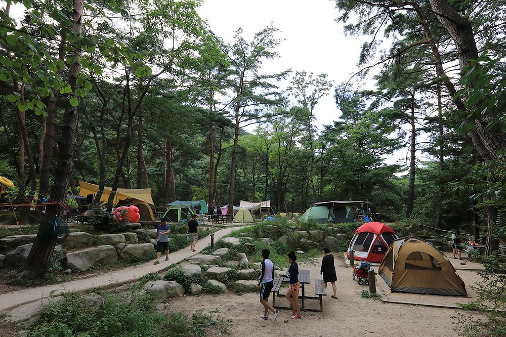 월악산국립공원 닷돈재 자동차야영장