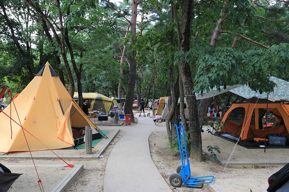 월악산국립공원 닷돈재 자동차야영장